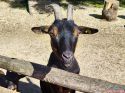 irrland_west_10