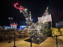 mphc_2024_nacht_11