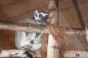 panorama_park_tiere_03
