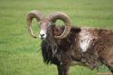 panorama_park_wildpark_02
