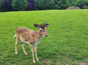 panorama_park_wildpark_05