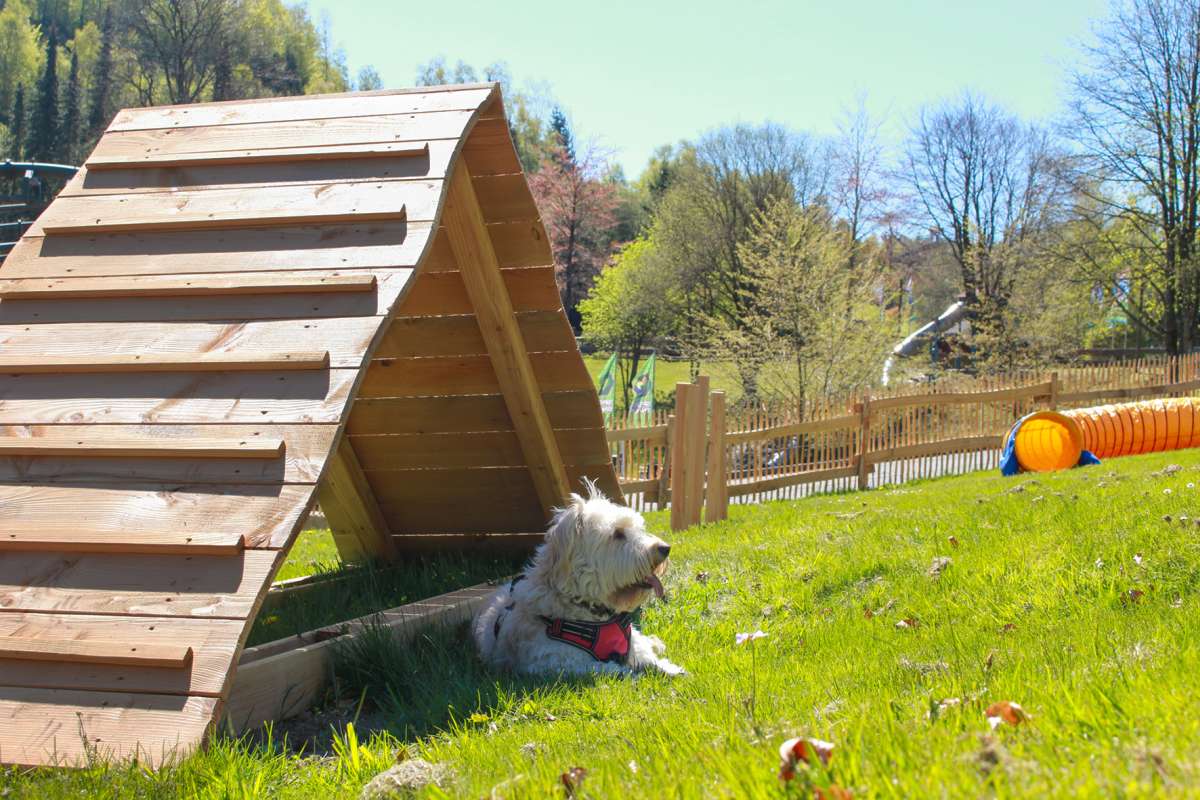 Speed Dog Arena im FORT FUN Abenteuerland