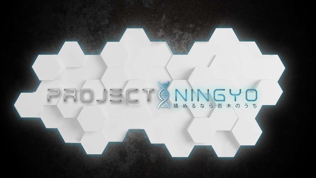 Project Ningyo