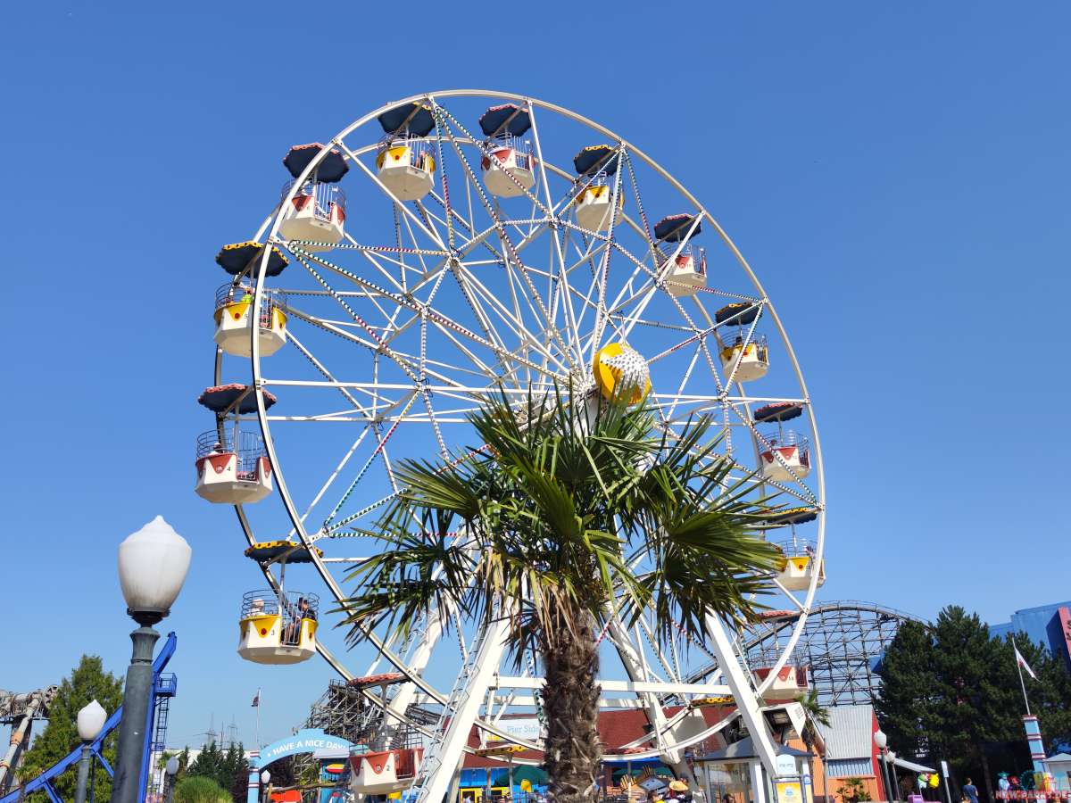 Santa Monica Wheel