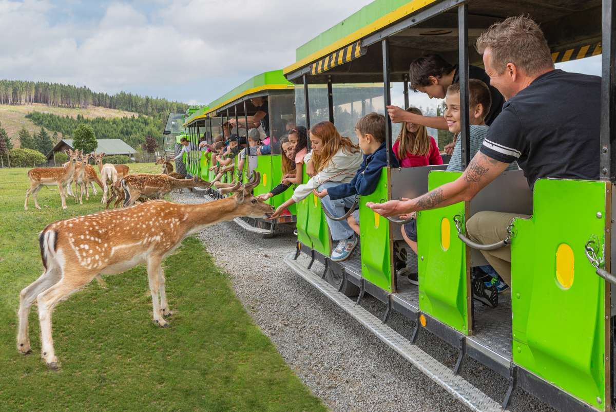 Pano Express Rundfahrt im Wildpark im Panorama Park Sauerland