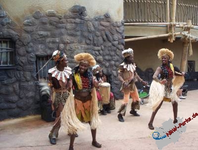 Miji African Dancers