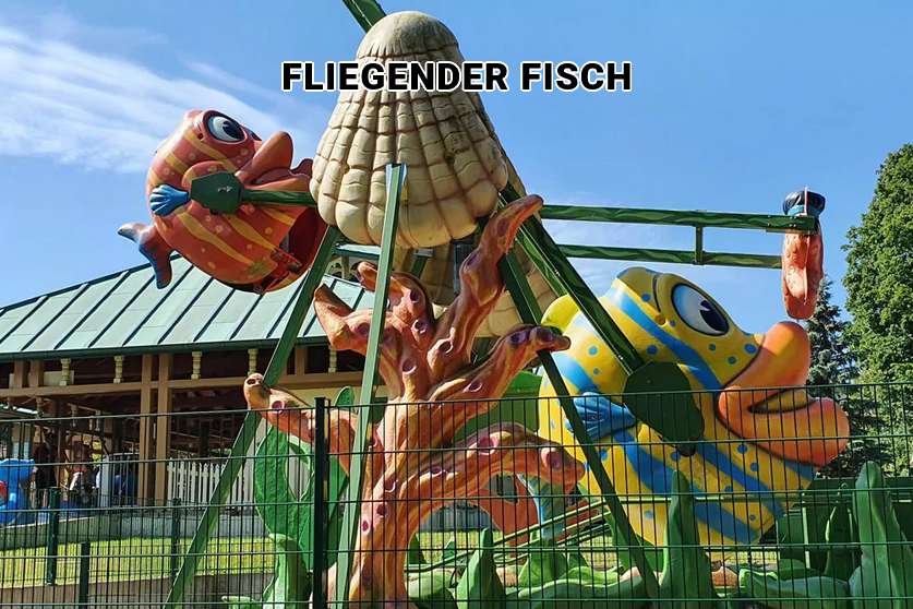 Fliegender Fisch