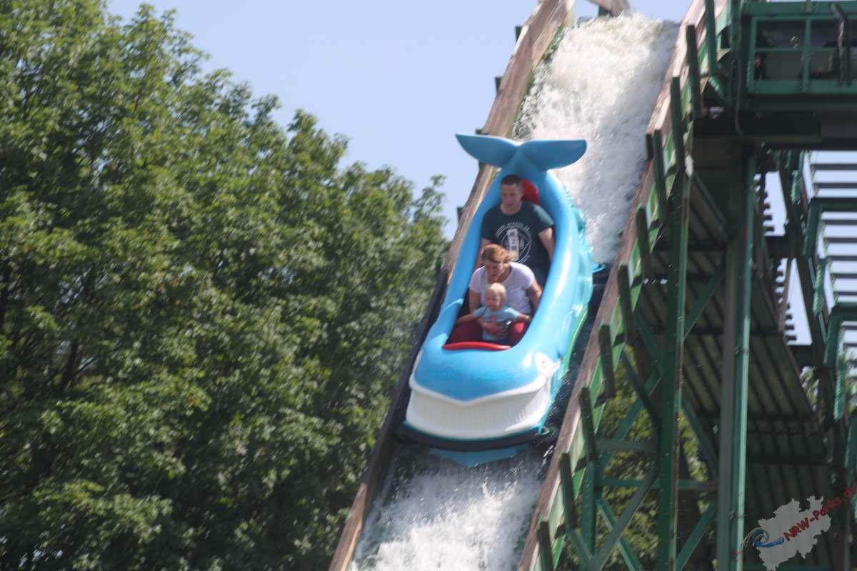 Wildwasserbahn Pottwal