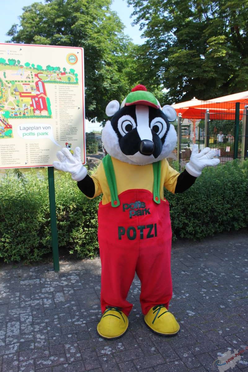 Potzi