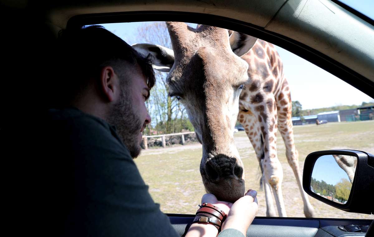 Safariland Stukenbrock Autosafari