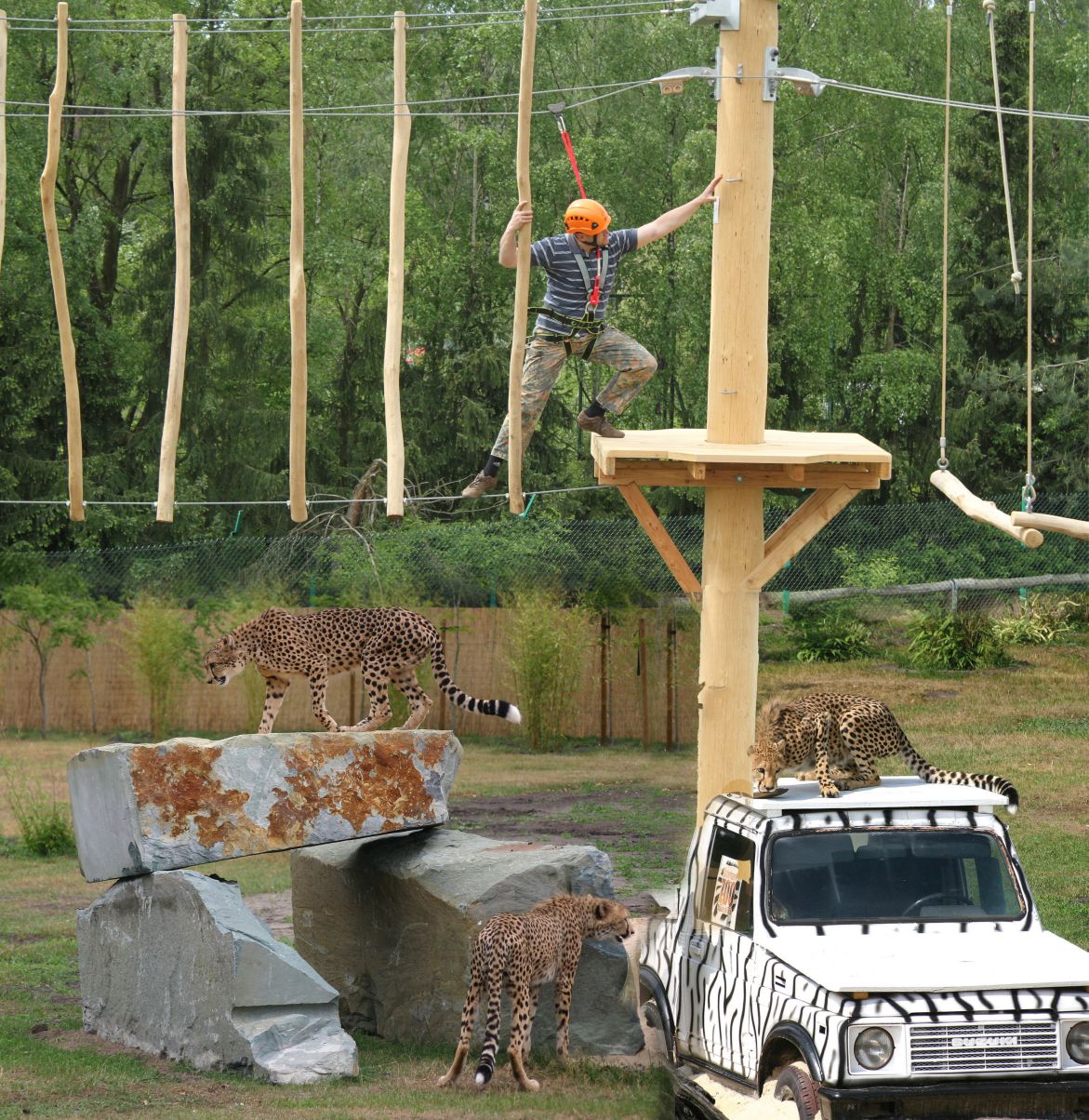Hochseilgarten im Zoo Safaripark Stukenbrock