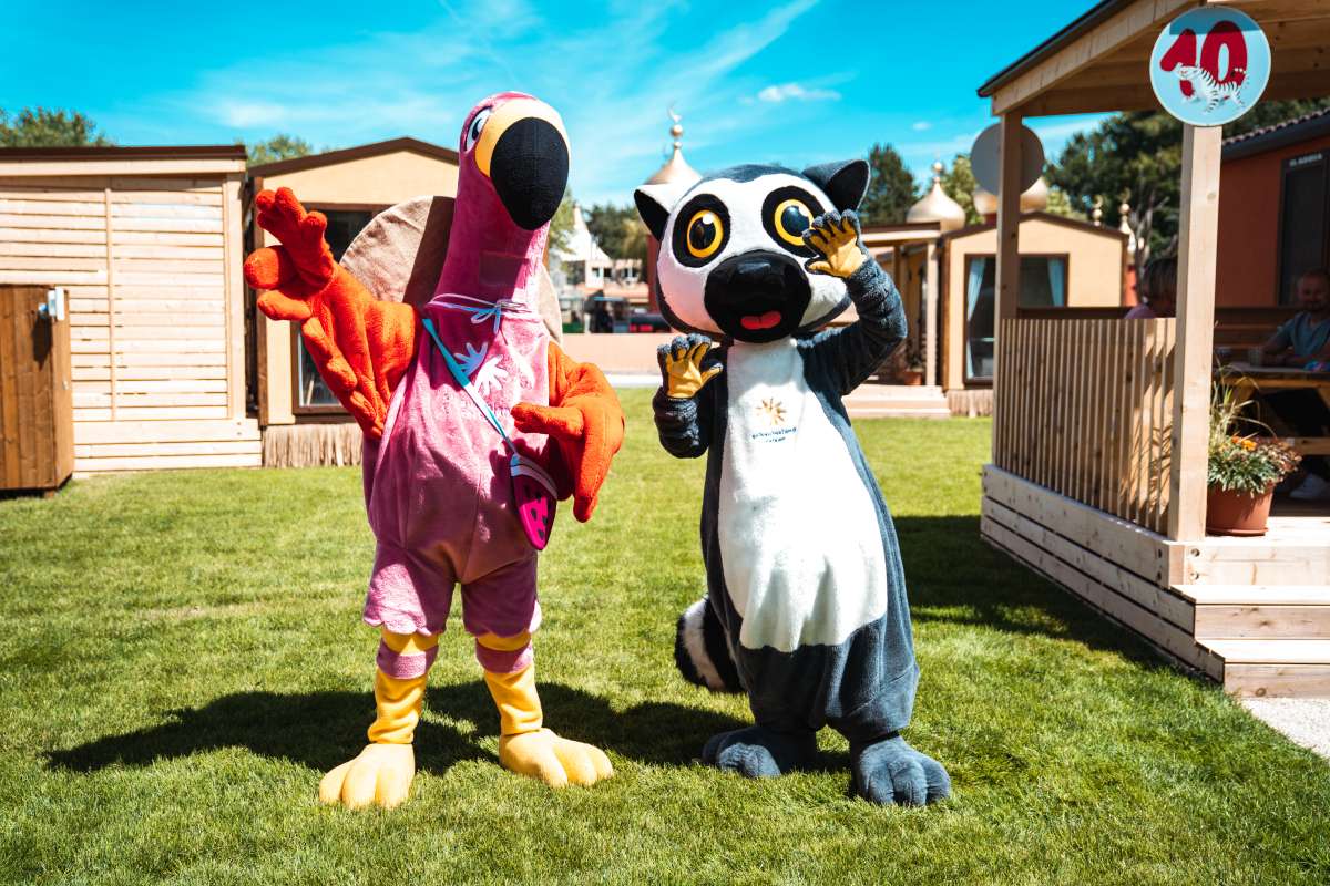 Ingo Flamingo und Katta
