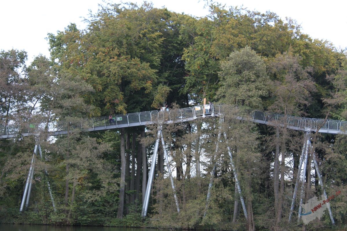 Baumkronenpfad im Schloss Beck