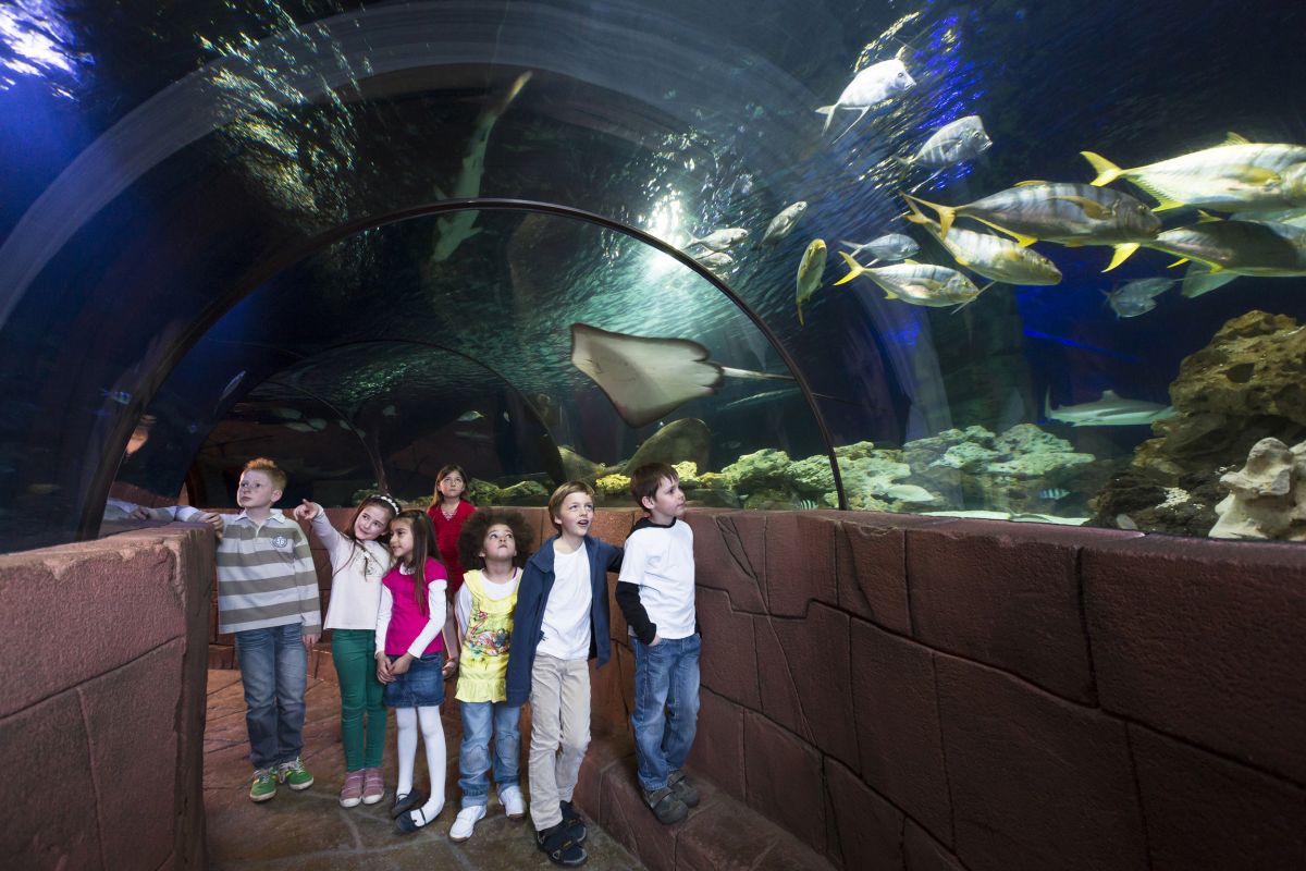 Fischinventur im Sea Life Oberhausen