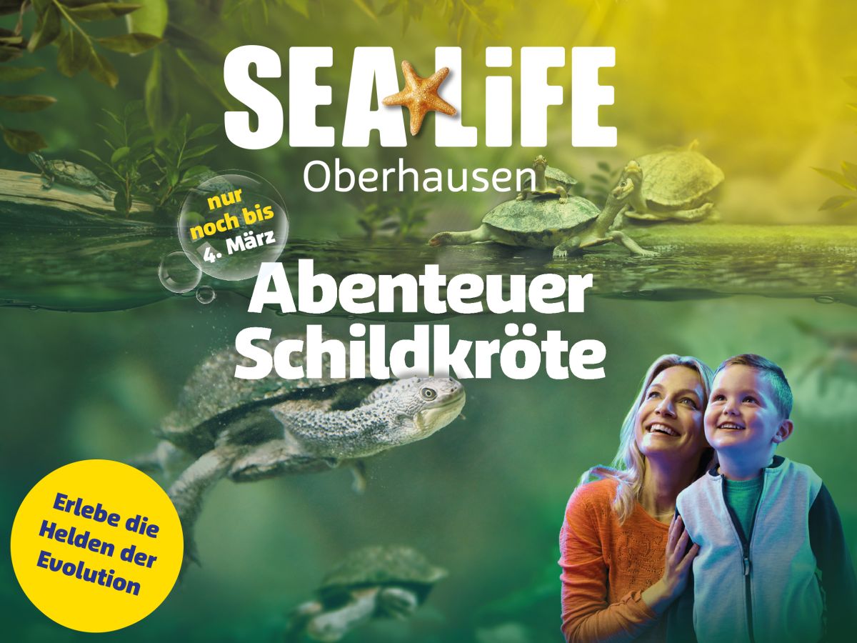 SEA LIFE Oberhausen – Abenteuer Schildkröte