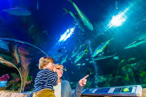 SEA LIFE Oberhausen Großeltern-Angebot