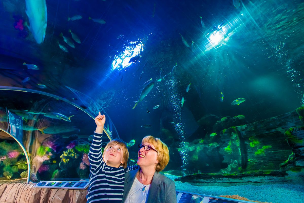 Großeltern-Aktion im SEA LIFE Oberhausen