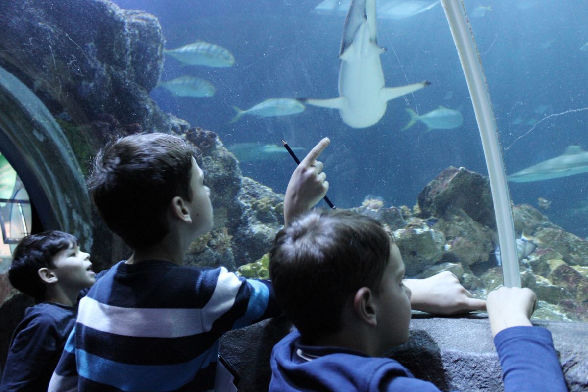 Inventur im SEA LIFE Oberhausen