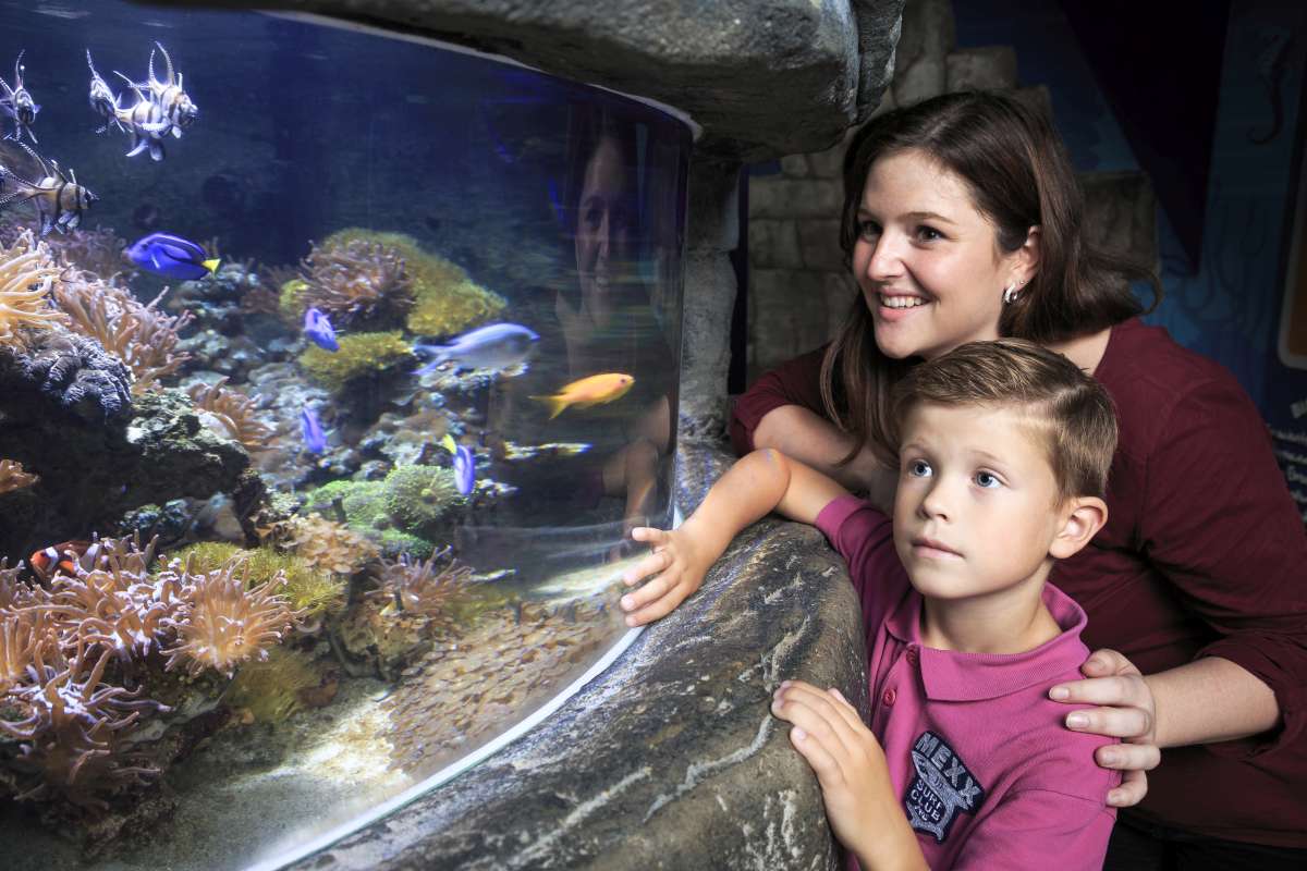 Muttertag im SEA LIFE Oberhausen