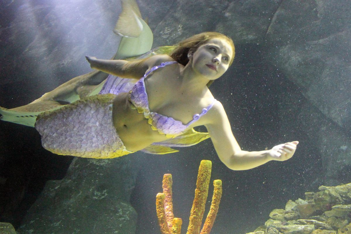 Meerjungfrau schwimmt mit Rundkopfgeigenrochen