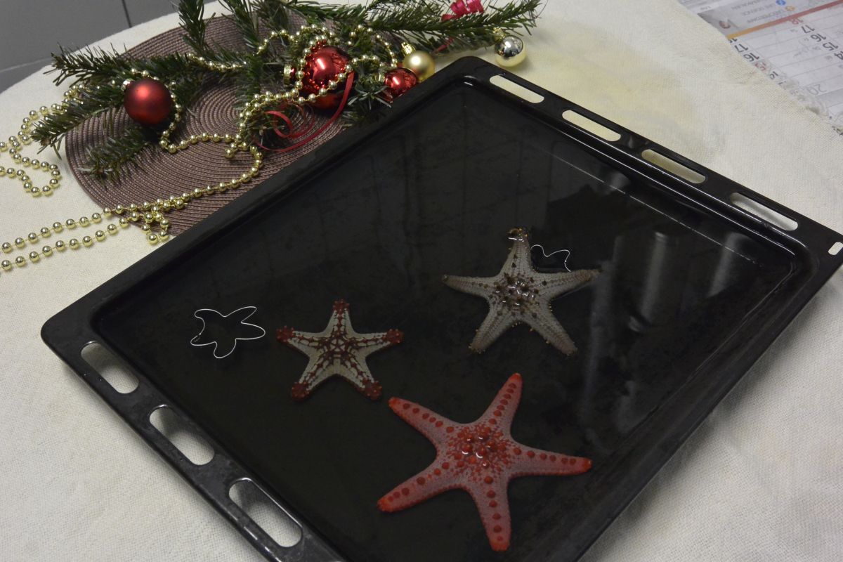 Die Cookie Seesterne machen auch auf dem Backblech eine gute Figur.