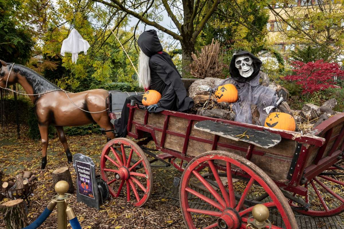 Kids-Halloween im Wunderland Kalkar