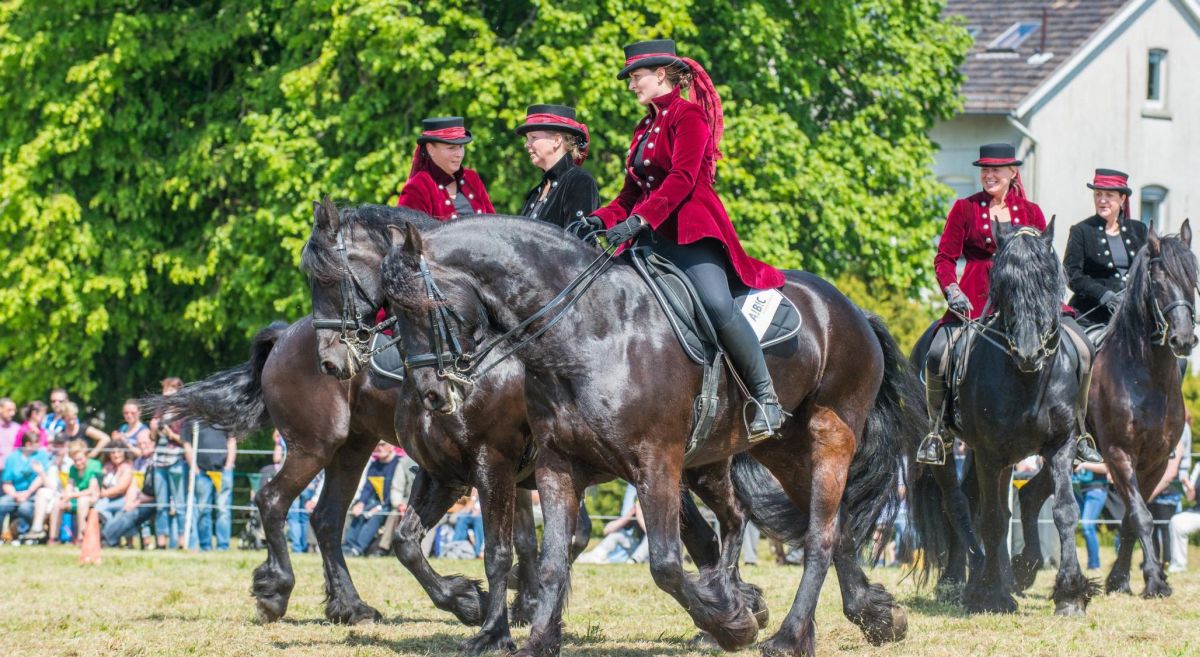 2. Reitsportmesse Niederrhein