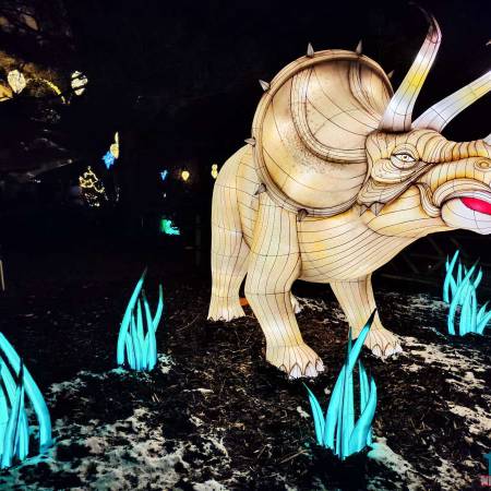 Wunderlight Kalkar - DinoGlow Adventure