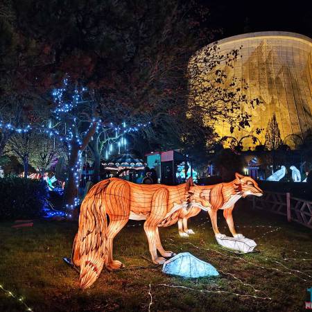 Vier leuchtende Welten bei Wunderlight im Wunderland Kalkar