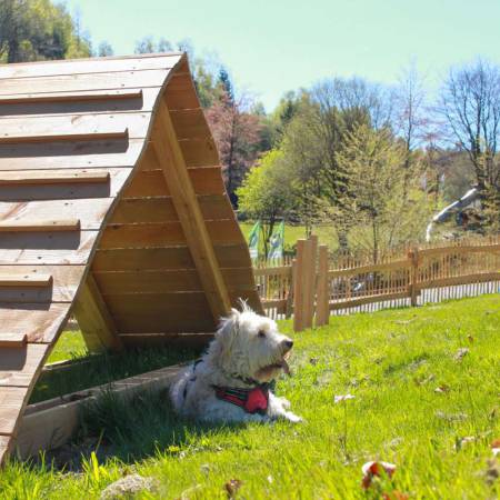 FORT FUN eröffnet Speed Dog Arena am 1. Mai 2026