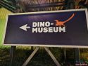 dinoglow_museum_01